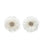 Plume Earrings in White
